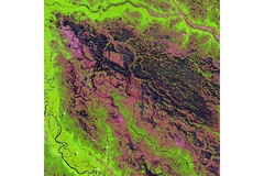 Image Satellite image of Amazon rainforest in Brazil.